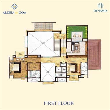 ALSTONIA FIRST FLOOR